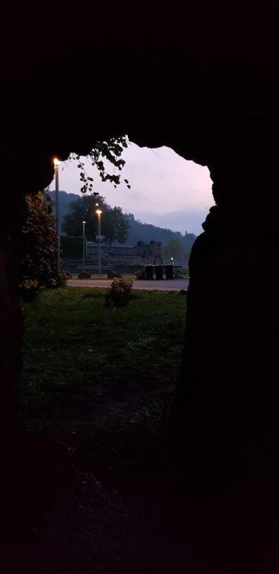 Ferienwohnung Am Geysirzentrum Andernach Bagian luar foto