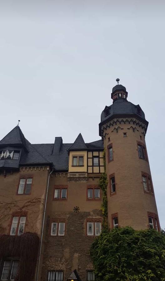 Ferienwohnung Am Geysirzentrum Andernach Bagian luar foto