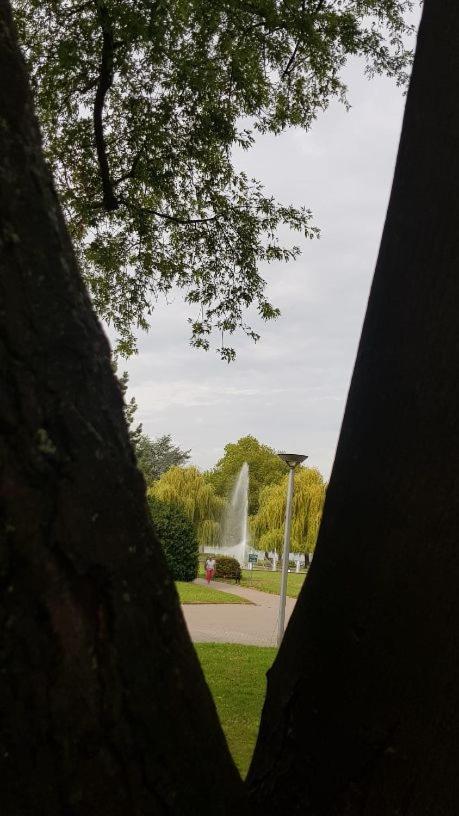 Ferienwohnung Am Geysirzentrum Andernach Bagian luar foto