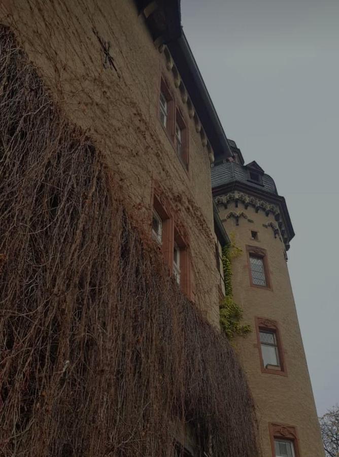 Ferienwohnung Am Geysirzentrum Andernach Bagian luar foto