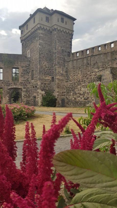 Ferienwohnung Am Geysirzentrum Andernach Bagian luar foto