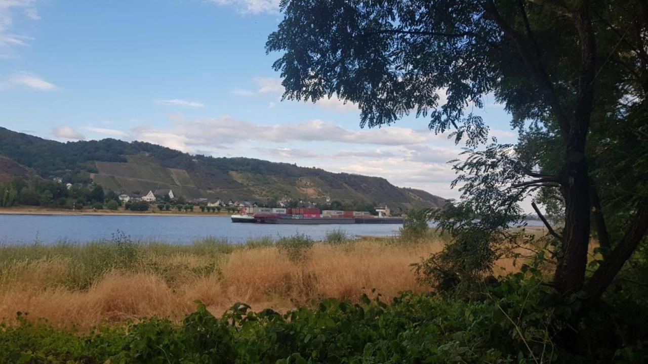 Ferienwohnung Am Geysirzentrum Andernach Bagian luar foto